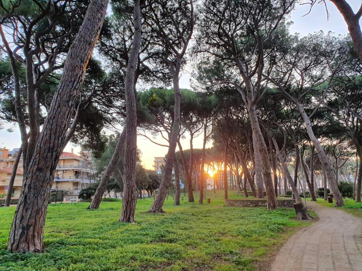 דירות פולוניקה Casa Marina - Monolocale Vista Mare מראה חיצוני תמונה